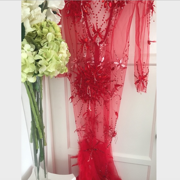 NEW! RED ANGEL DRESS HAND BEADED REAL FEATHER GOWN - Picture 3 of 15